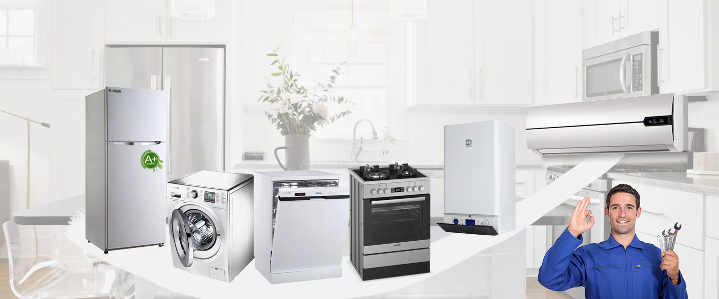Aralık Gorenje Servisi